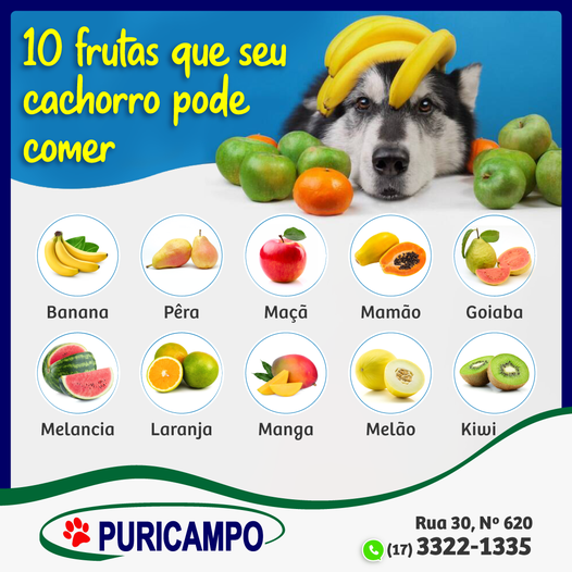 Seu cachorro gosta de frutas?... - Puricampo A maior Loja Pet Shop de Barretos e Região